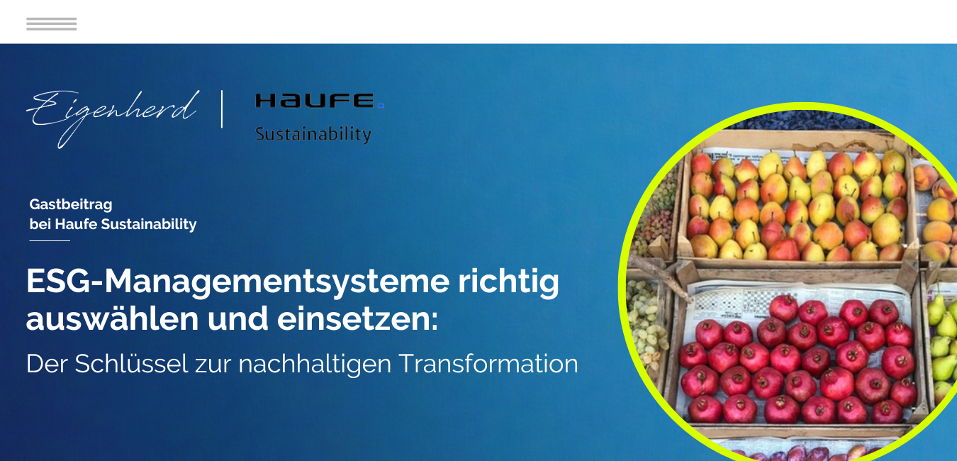 0225_Haufe.de Gastbeitrag ESG Managementsystem_Website_1350x650
