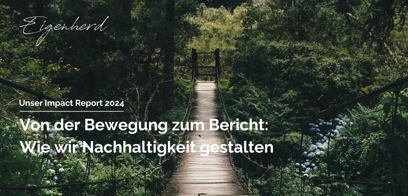 Impact_Report_2024_Website_1350x650